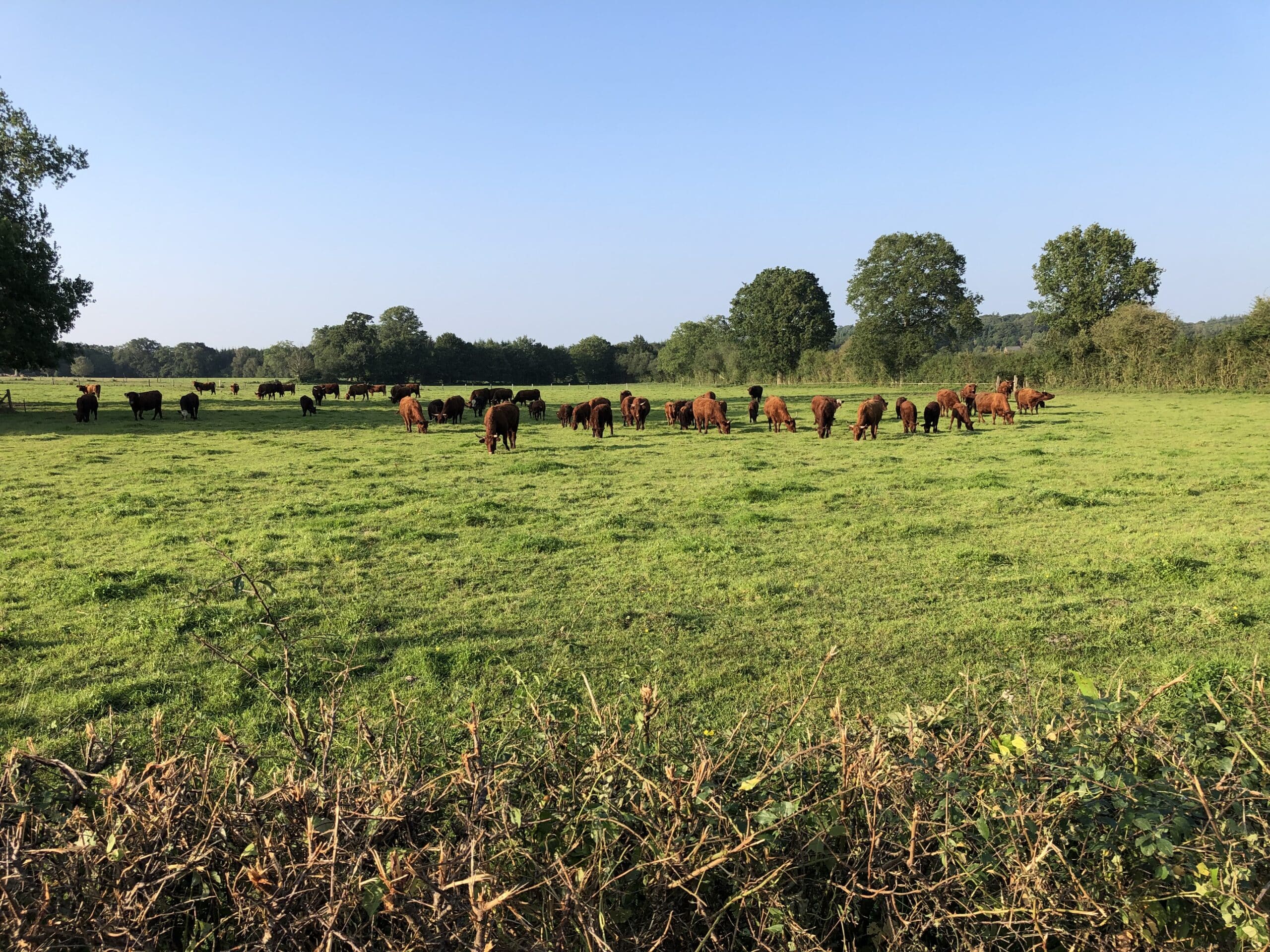 Au coeur de l'étable région Perche NatUp